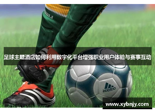 足球主题酒店如何利用数字化平台增强职业用户体验与赛事互动
